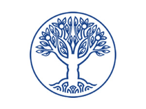 GLOBAL BUSINESS SERVICES ACADEMY